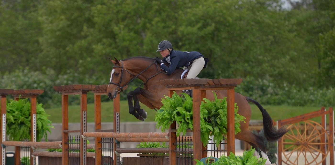 Horse and rider viewed from the side over a wooden hunter fence