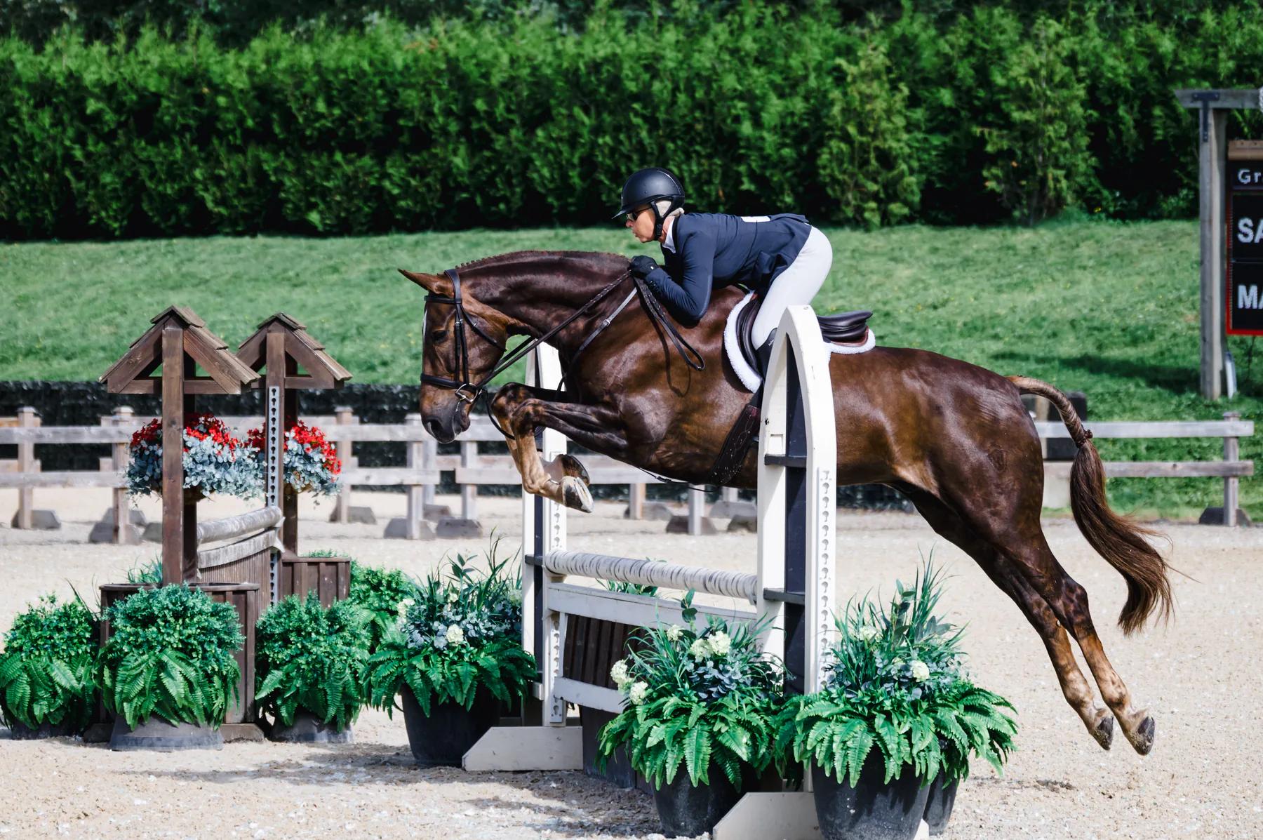 Editorial view of the Lochside Lane farm and equestrian program
