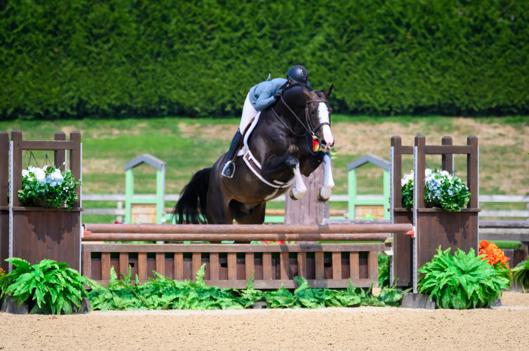 Editorial view of the Lochside Lane farm and equestrian program