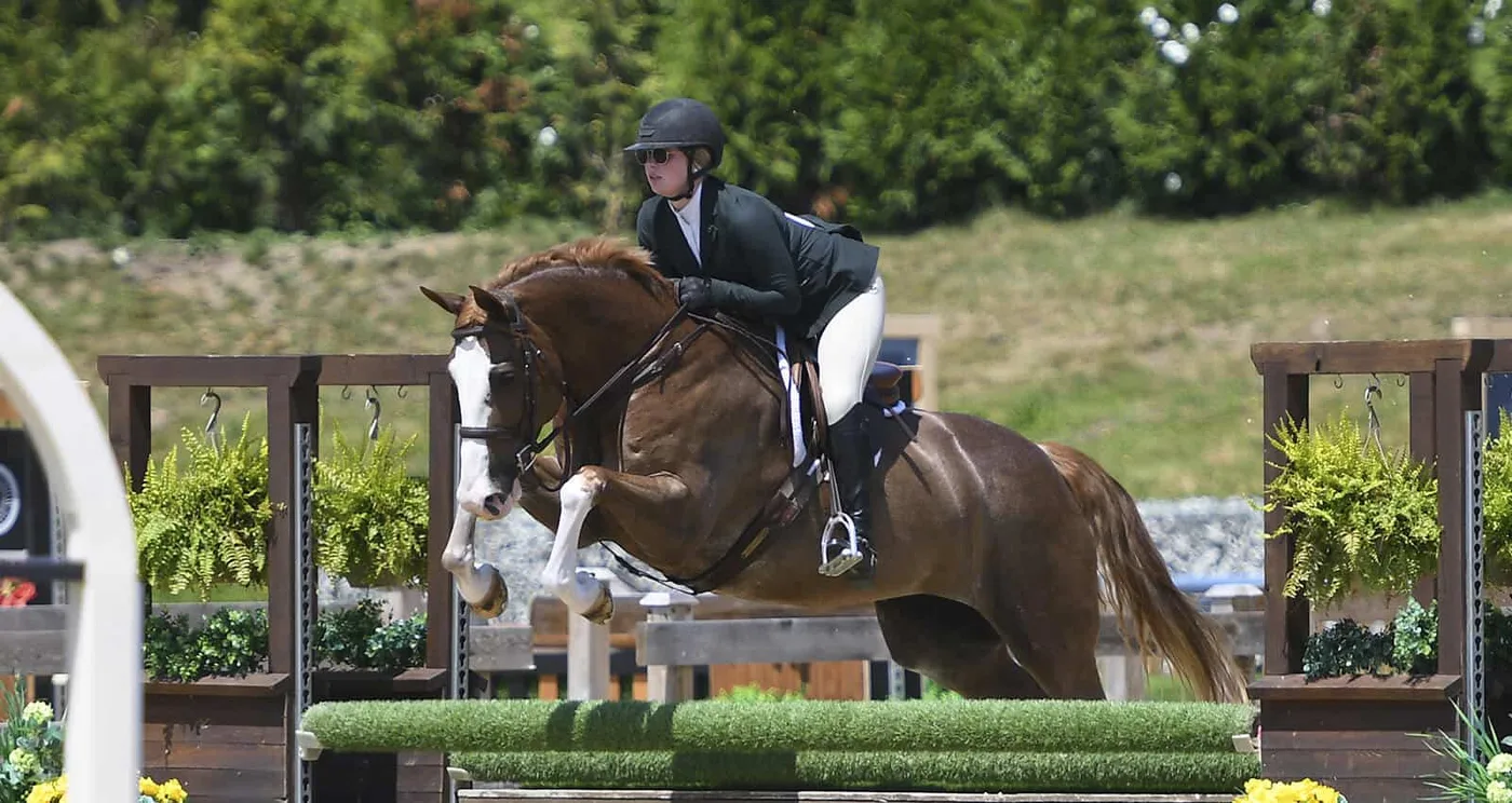 Editorial view of the Lochside Lane farm and equestrian program
