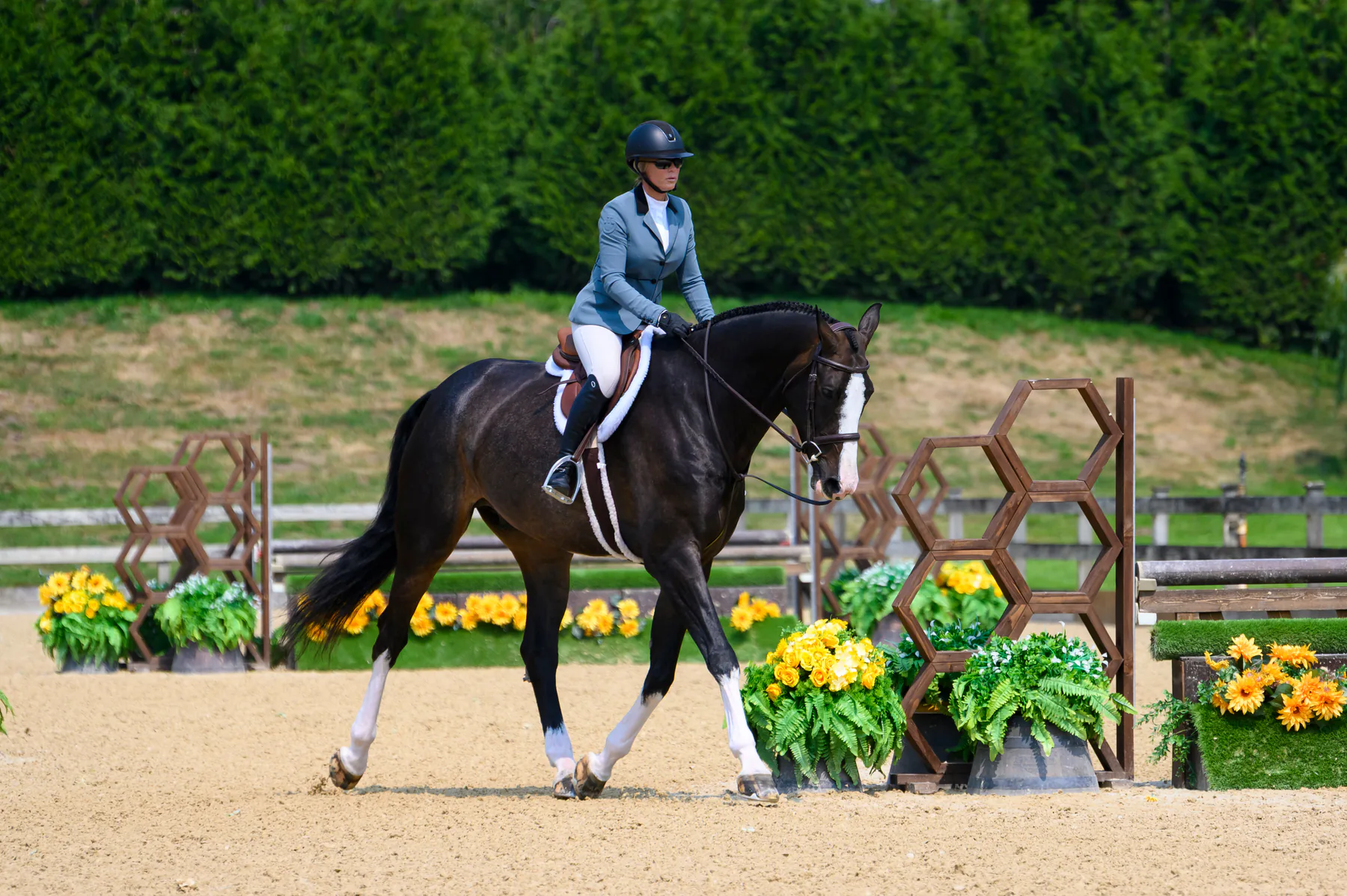 Horse and rider training at Lochside Lane