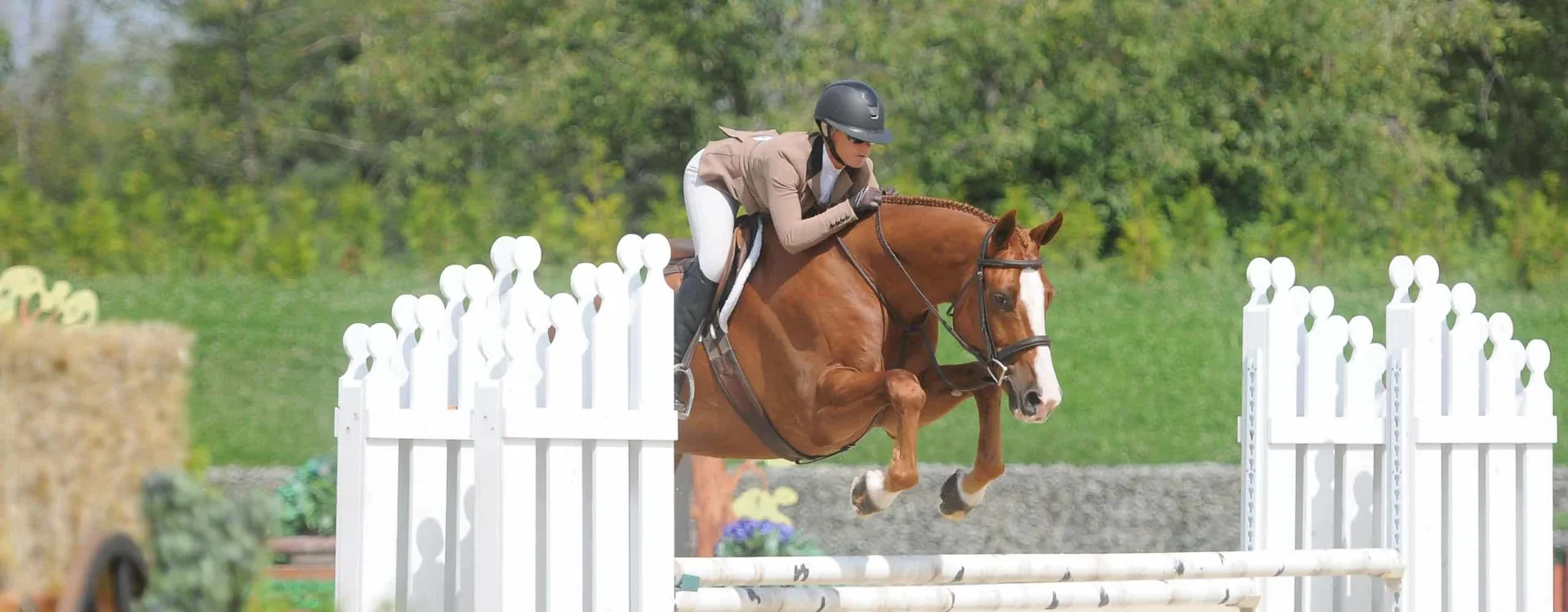 Tanya Hardy’s equestrian program at Lochside Lane
