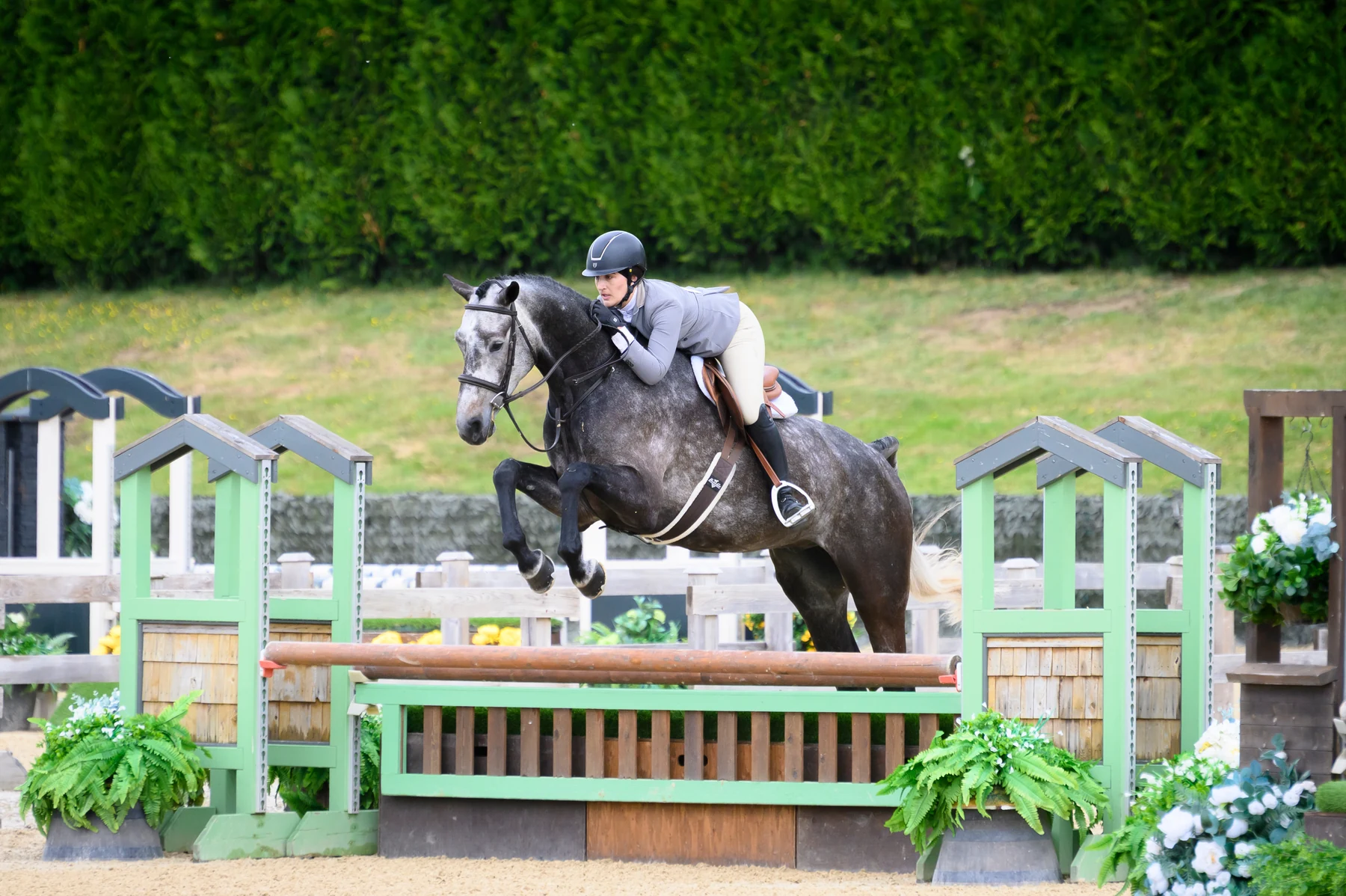 Carter and rider jumping in a flowered hunter ring