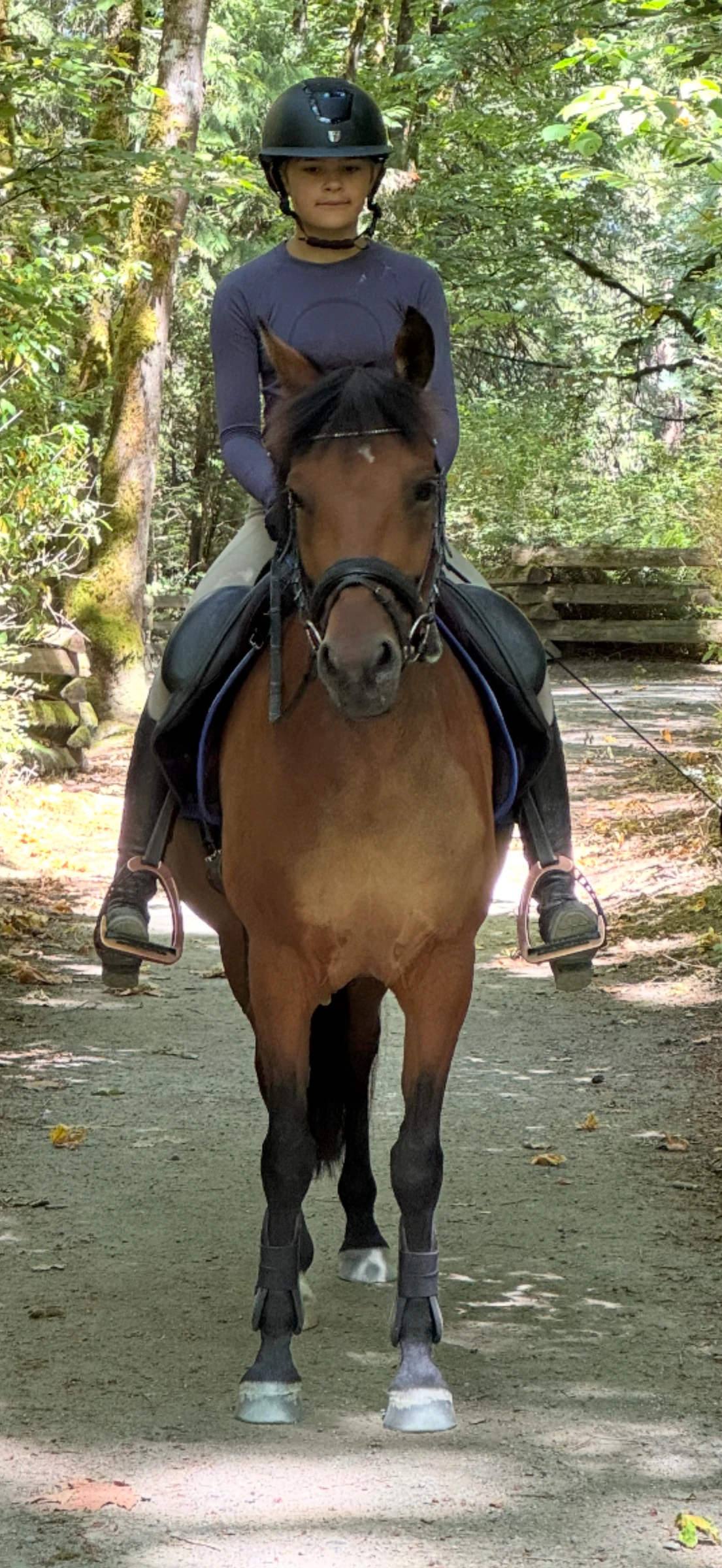 Delphine and rider on a wooded trail