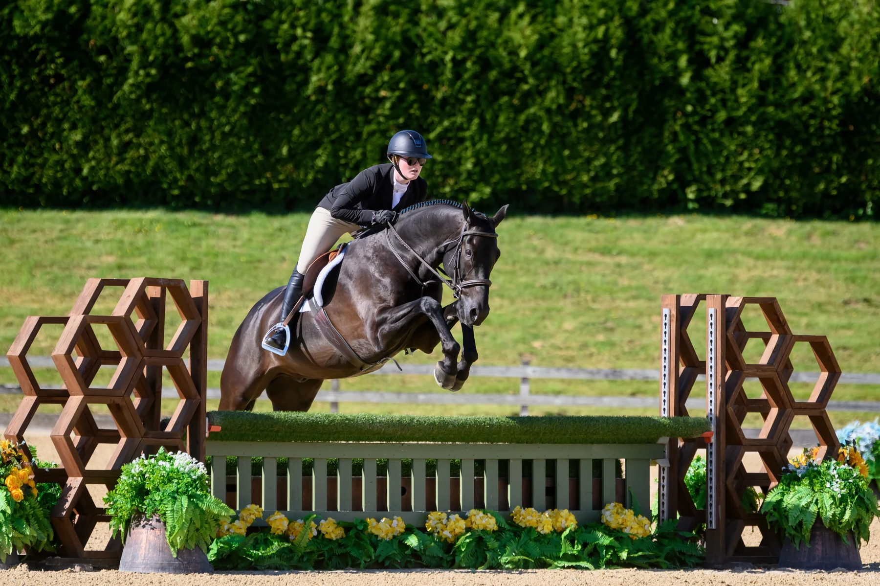Next Episode and rider jumping in a flowered hunter ring