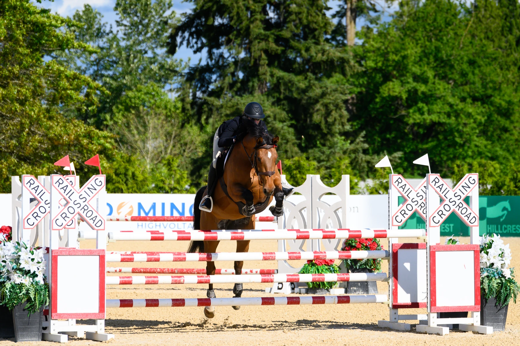 Smilla and rider jumping a red-and-white rail in competition