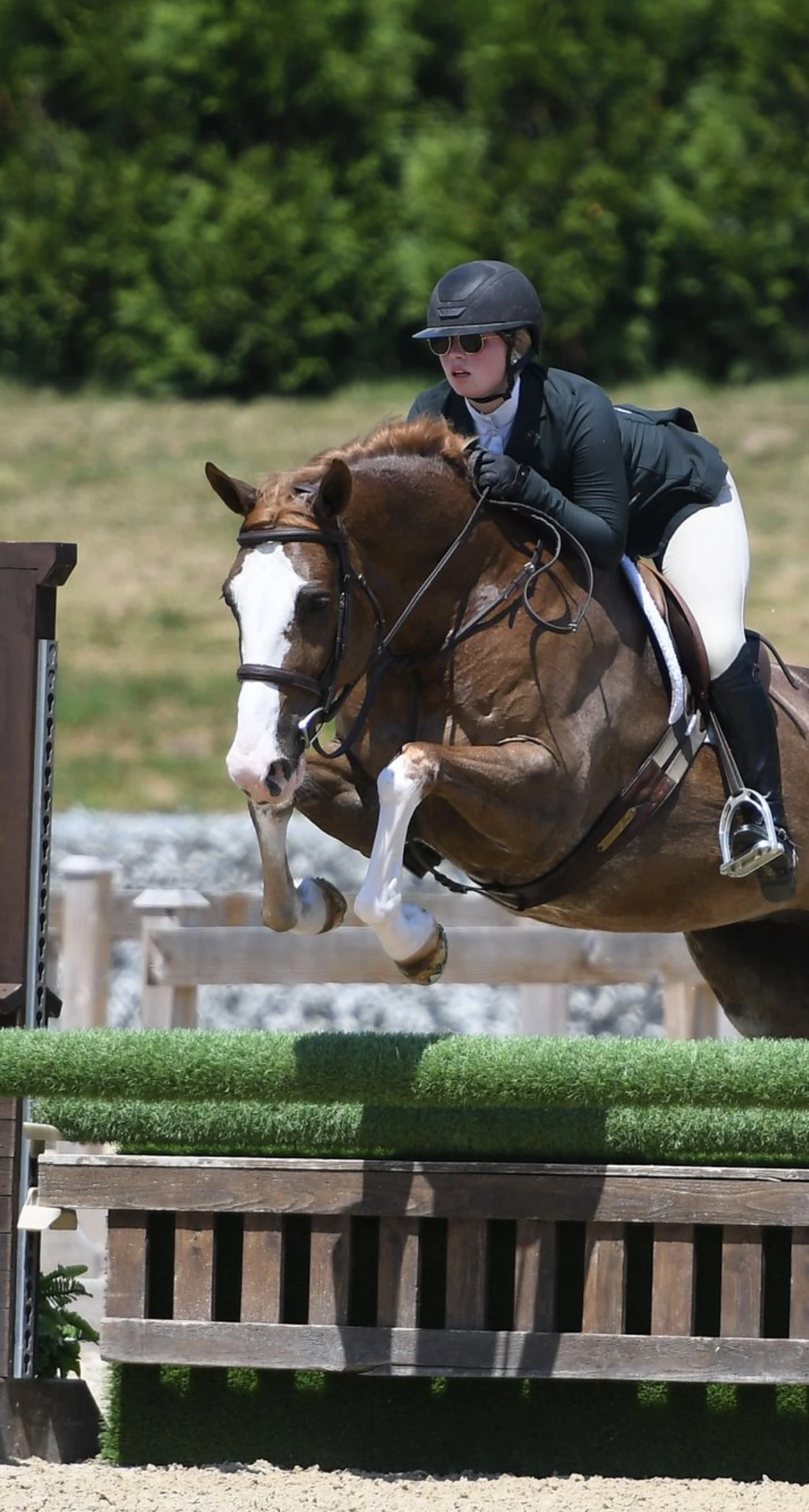 Sparkle Balou and rider jumping in the hunter ring