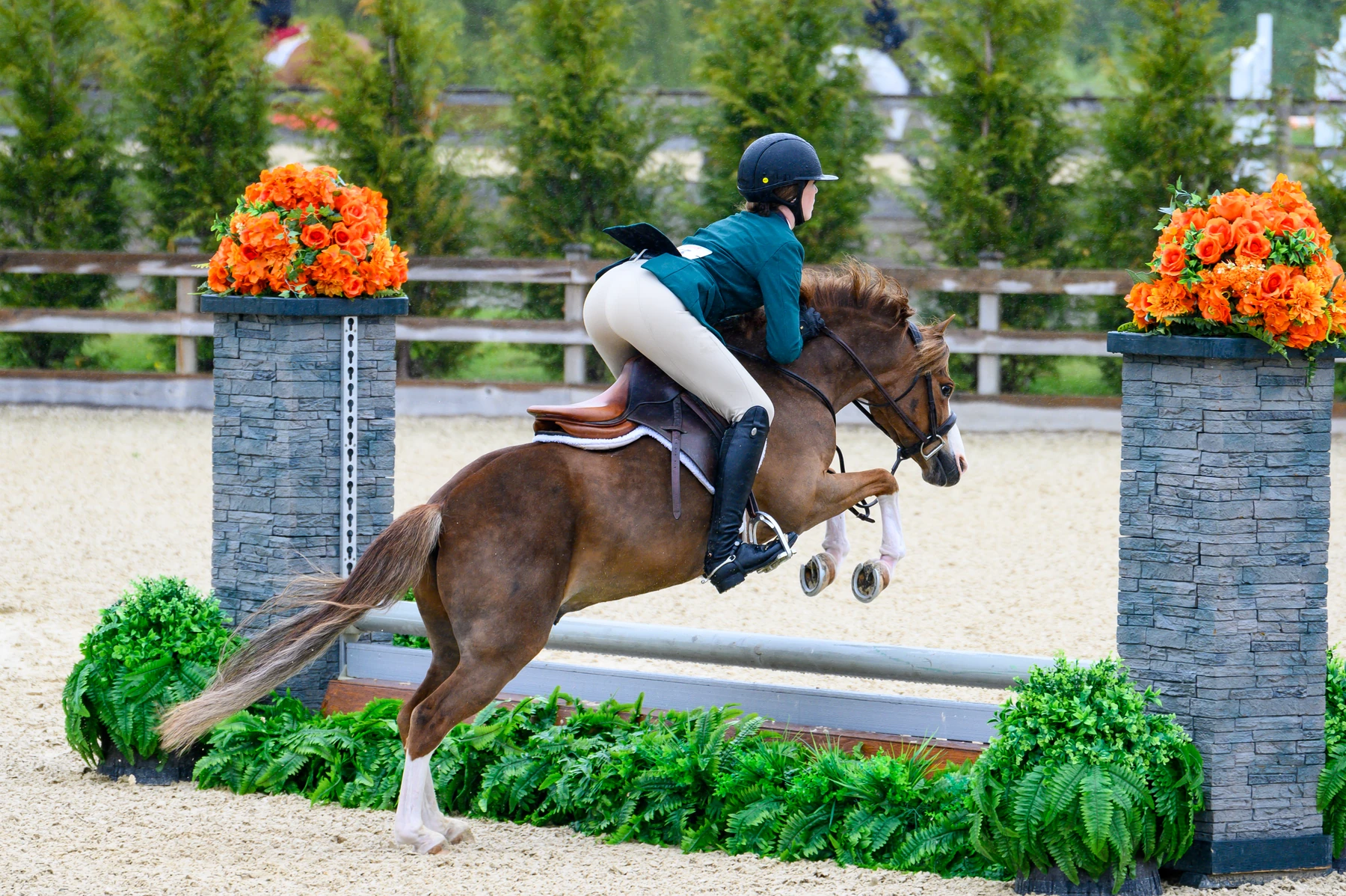 Eye Candy and rider jumping between orange flower standards