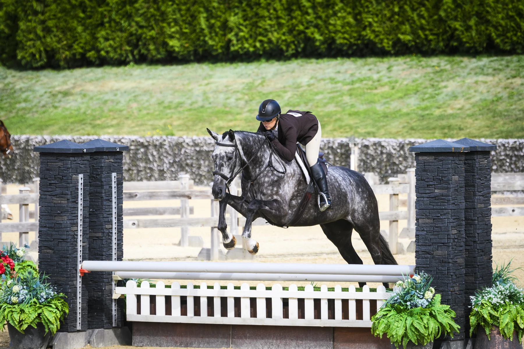 Vintage and rider performing over a black-and-white hunter fence