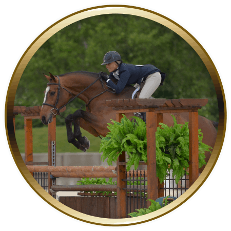 horse frame