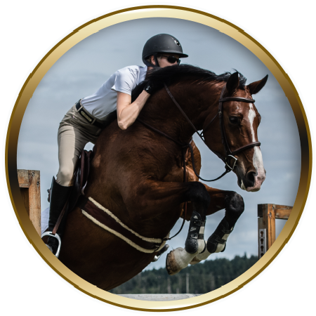 horse frame