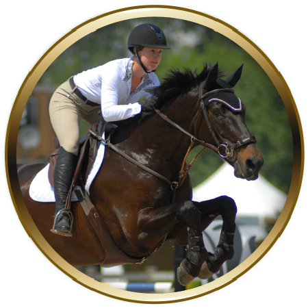 horse frame
