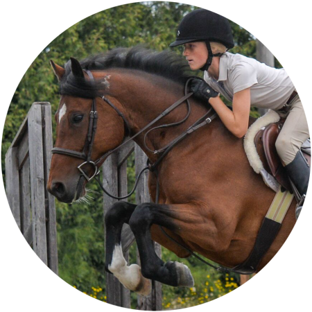 horse frame