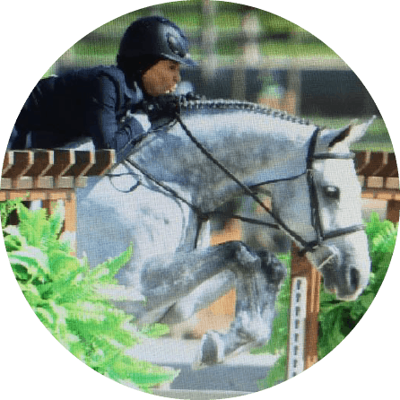 horse frame
